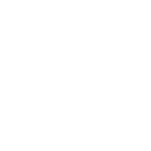 Bimotor